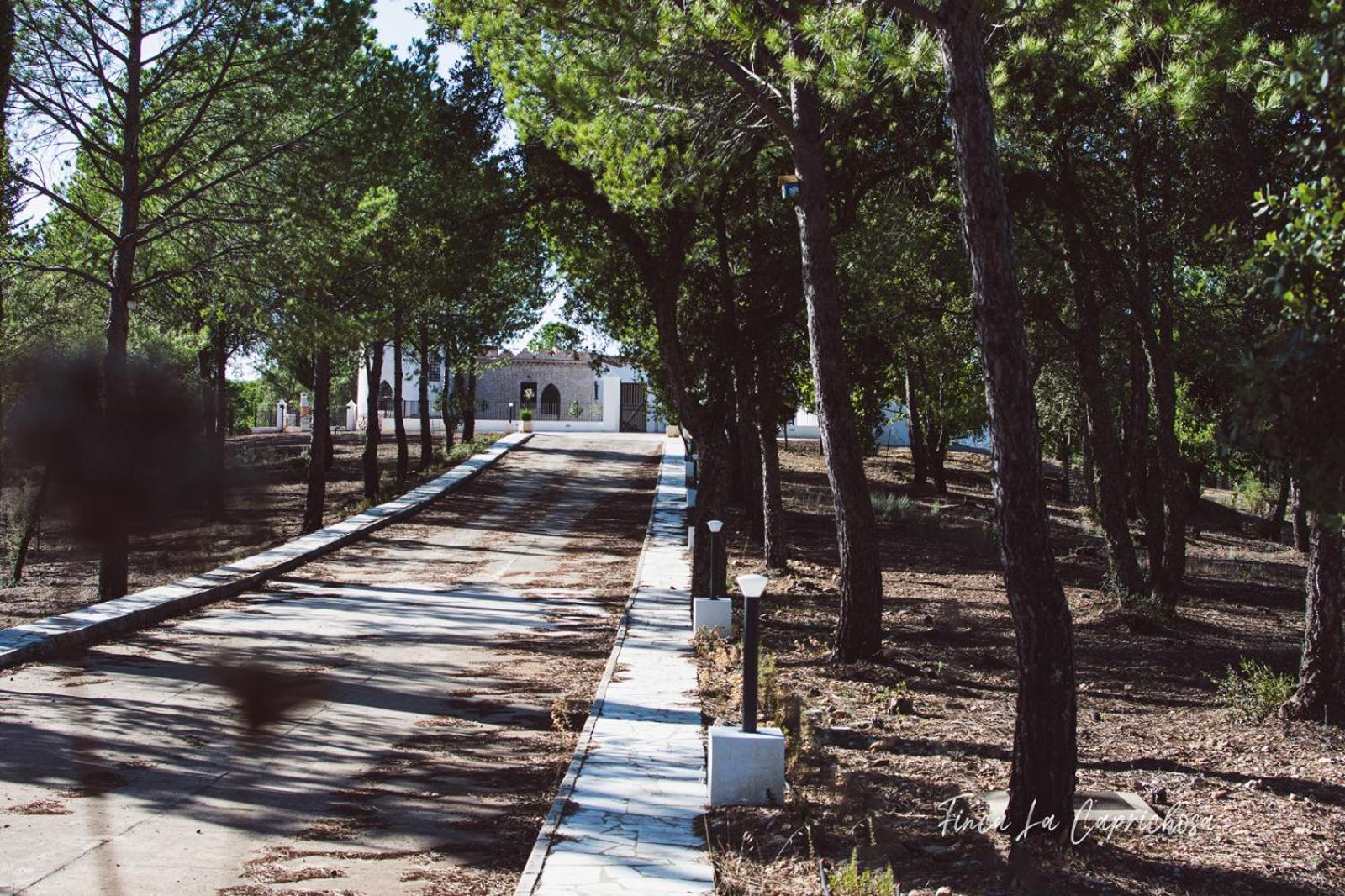Finca La Caprichosa Cortelazor المظهر الخارجي الصورة
